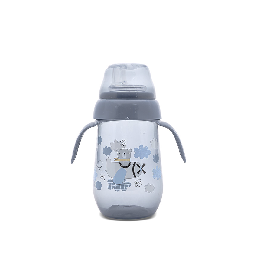 [10200090004] gourde 250 ml ameo Bleu